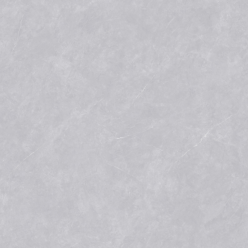 R813133